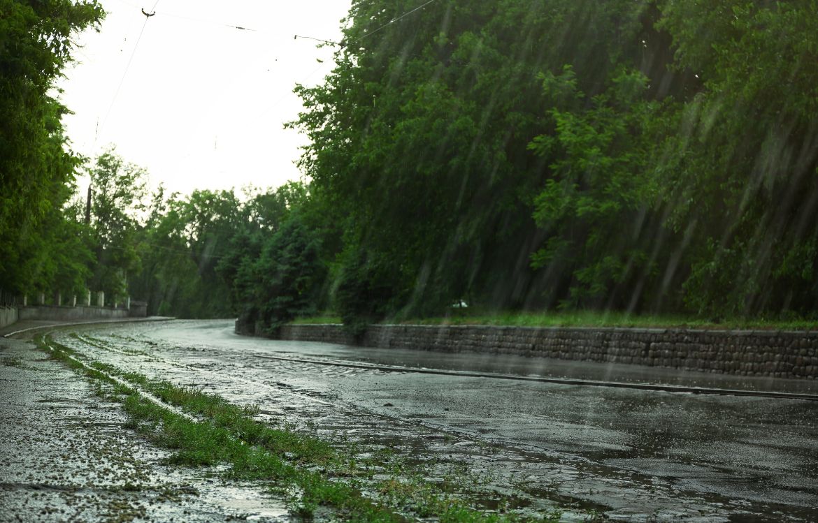 Désimperméabilisation des villes : pourquoi enlever du bitume devient une priorité